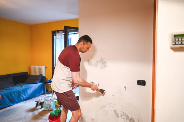 Best Mold Cleaning Services  in Eagleton Village, TN
